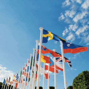 Budget vlaggenmast 5m