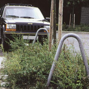 Boombeugels. De voordelige oplossing.