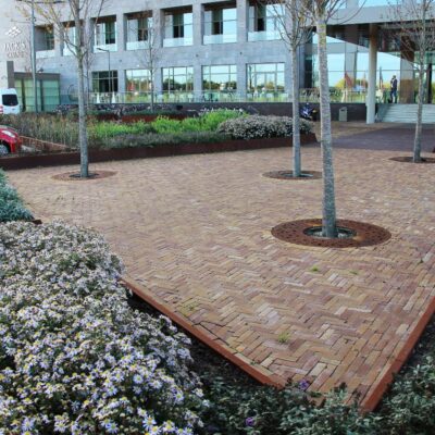 Boomrooster Corton rond