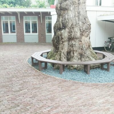 De uitvoering van deze boombank met een binnen-diameter van maar liefst 3 meter. Deze ronde boombank staat in hartje Amsterdam