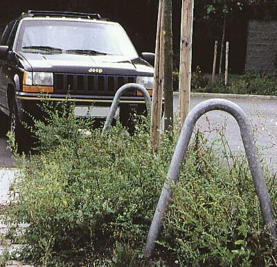 Boombeugels. De voordelige oplossing.