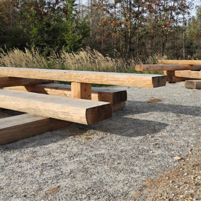 Reuzen picknickset met een organische vormgeving, geïntegreerde fietsstal-plek en ligbed. Picknicktafel en banken Jura, een aanwinst voor natuurlijke omgevingen en voor wie van organische vormgeving houdt.