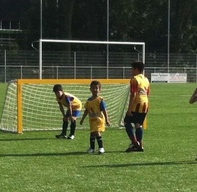 Voetbaldoelen JVD240, voordelig, duurzaam en ook in aluminium naturel leverbaar.