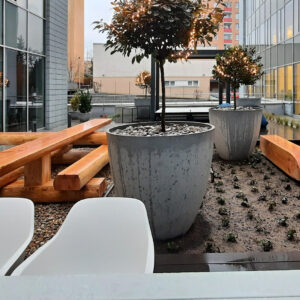 Parkbank Twistula, samen met onze picknickset model Jura. Prachtig organisch vormgegeven park- buiten meubilair.