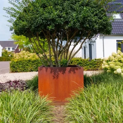 Deze Corten plantenbakken zijn ideaal voor tuin, terras of openbare ruimte, en combineren een unieke esthetiek met praktische functionalitei