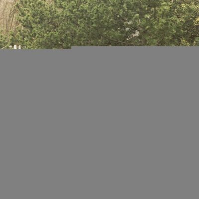 Onze rvs antiparkeerpalen kenmerken zich door een ongekende kwaliteits- prijsverhouding!