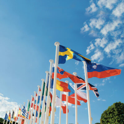 Budget vlaggenmast 8m