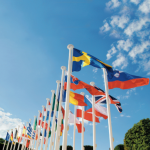 Budget vlaggenmast 9m